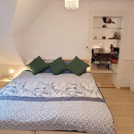 2 Zentral-ruhig Mit Flair Gertrud Schloessli Quarto em Acomodações Particulares St. Gallen