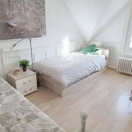 2 Zentral-ruhig Mit Flair Gertrud Schloessli Quarto em Acomodações Particulares St. Gallen
