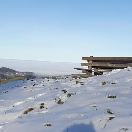 2 Zentral-ruhig Mit Flair Gertrud Schloessli 3z2 منزل للإقامة