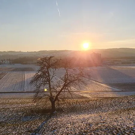 2 Zentral-ruhig Mit Flair Gertrud Schloessli 3z2 منزل للإقامة