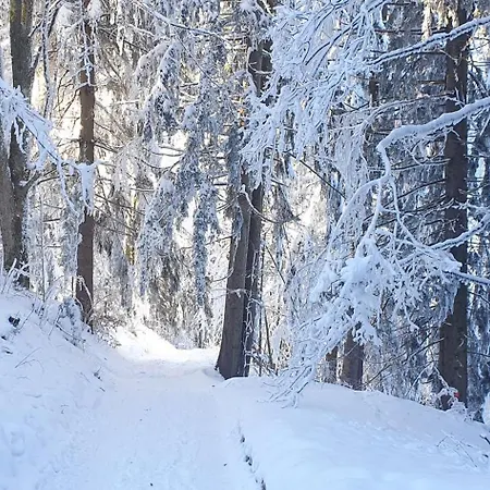 منزل للإقامة 2 Zentral-ruhig Mit Flair Gertrud Schloessli 3z2 *