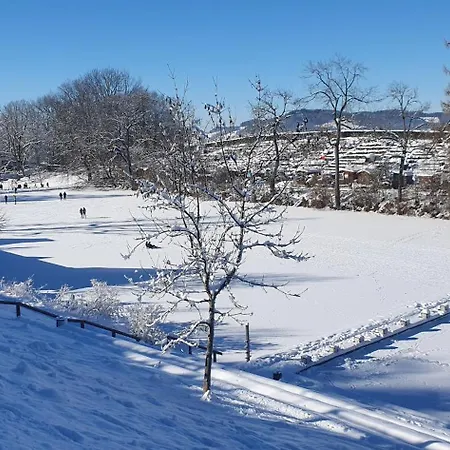 2 Zentral-ruhig Mit Flair Gertrud Schloessli 3z2 سانت غالن