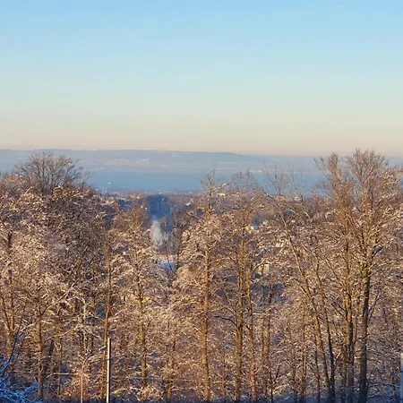 Homestay Stilvolle 2-3 Im Gertrud Schloessli - Zentral Ruhig *
