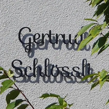 Stilvolle 2-3 Im Gertrud Schloessli - Zentral Ruhig Homestay St. Gallen