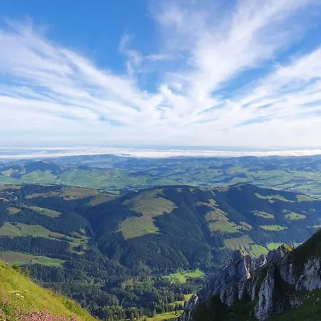 Stilvolle 2-3 Im Gertrud Schloessli - Zentral Ruhig Homestay St. Gallen