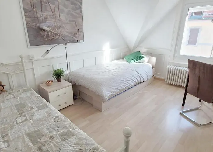 2 Zentral-ruhig Mit Flair Gertrud Schloessli 3z2 Pansiyon St. Gallen