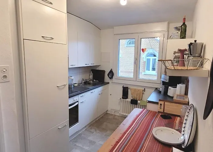 2 Zentral-ruhig Mit Flair Gertrud Schloessli 3z2 St. Gallen