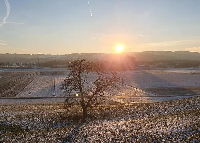 2 Zentral-ruhig Mit Flair Gertrud Schloessli 3z2 Pansiyon