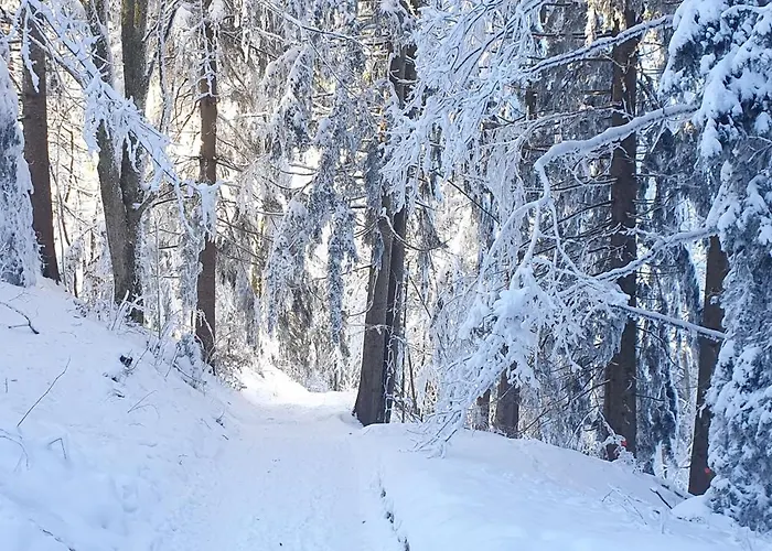 Pansiyon 2 Zentral-ruhig Mit Flair Gertrud Schloessli 3z2 *