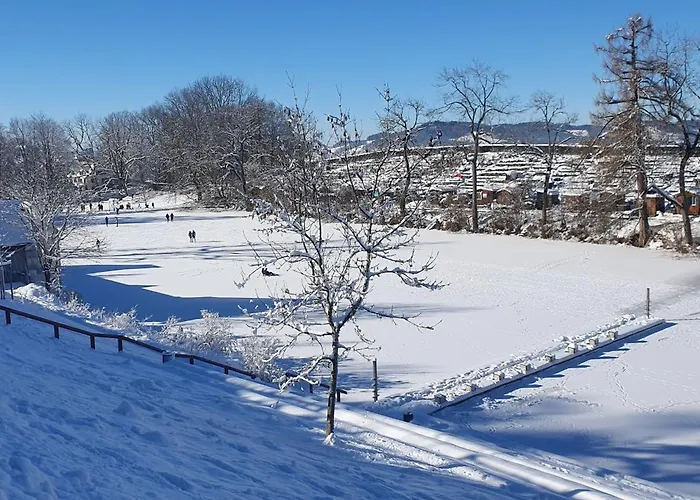 2 Zentral-ruhig Mit Flair Gertrud Schloessli 3z2 St. Gallen