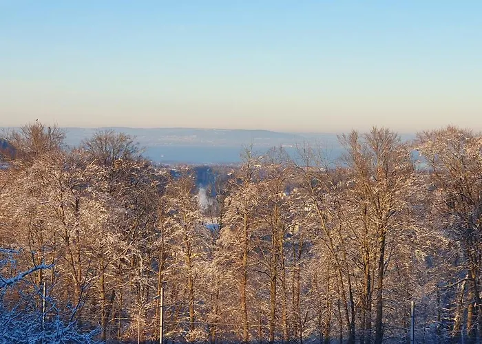 Séjour chez l'habitant 2 Zentral-ruhig Mit Flair Gertrud Schloessli 3z2 *