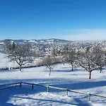 2-3 Zentral Ruhig Mit Flair Im Gertrud Schloessli